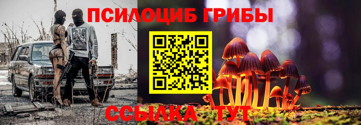 Галлюциногенные грибы Psilocybe  Вход с VPN  Тайшет 