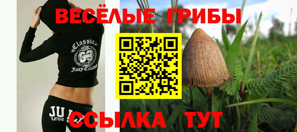 Галлюциногенные грибы ЛСД Тайшет